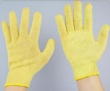 Kevlar Gloves
